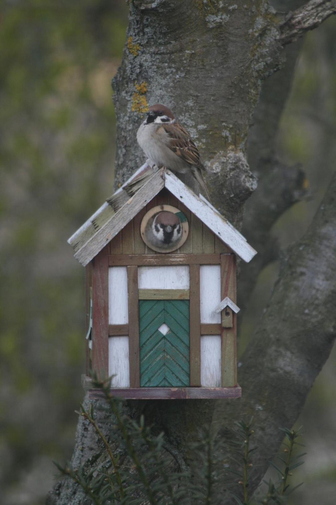 Lilla Huset Pa Slaetten B&B Lund Kültér fotó
