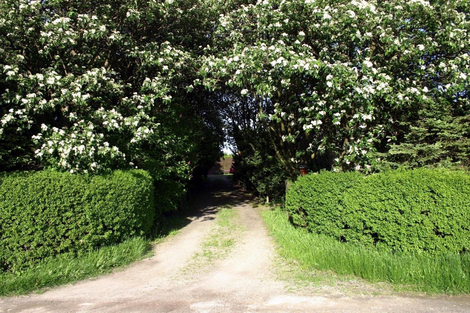 Lilla Huset Pa Slaetten B&B Lund Kültér fotó